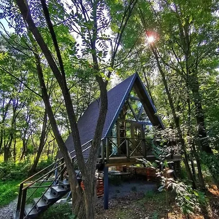 Porumbacu Treehouse Chalet *