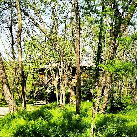 Porumbacu Treehouse Chalet *
