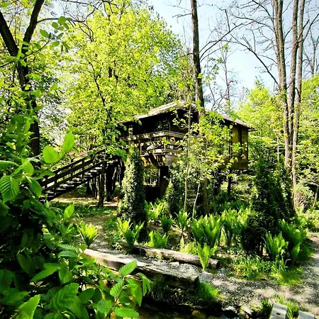 Chalet Porumbacu Treehouse *