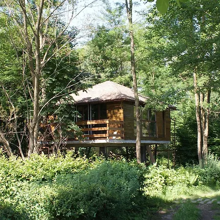 Chalet Porumbacu Treehouse