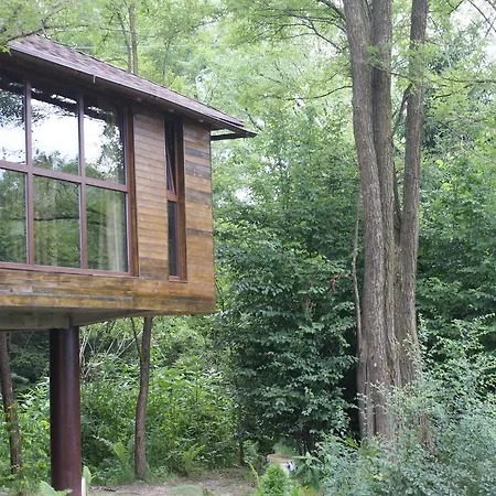 Chalet Porumbacu Treehouse Porumbacu de Sus