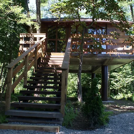 Porumbacu Treehouse Chalet *