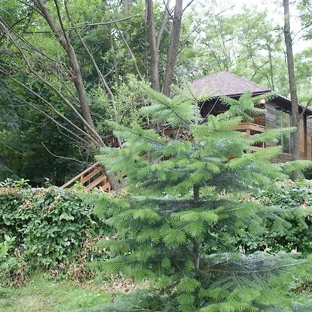 Porumbacu Treehouse Chalet