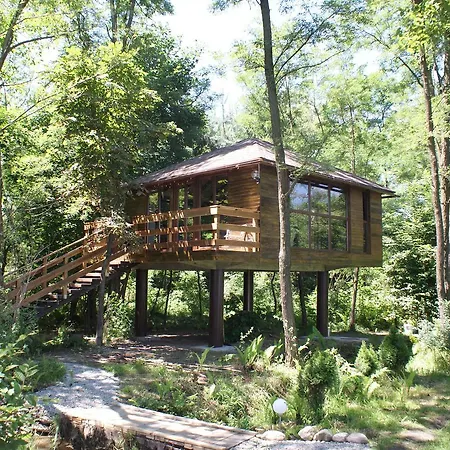 Chalet Porumbacu Treehouse