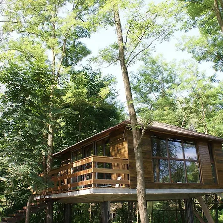 Chalet Porumbacu Treehouse Porumbacu de Sus