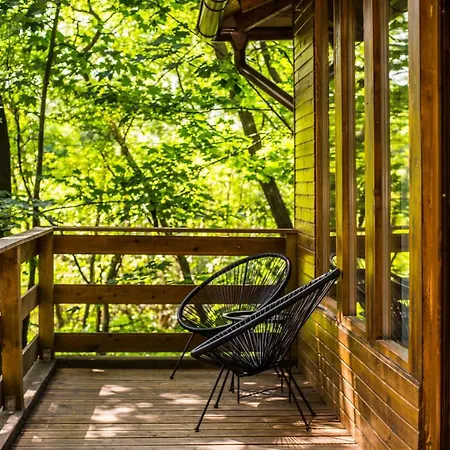 Chalet Porumbacu Treehouse *