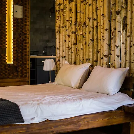 Chalet Porumbacu Treehouse