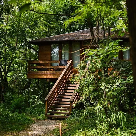 Chalet Porumbacu Treehouse *